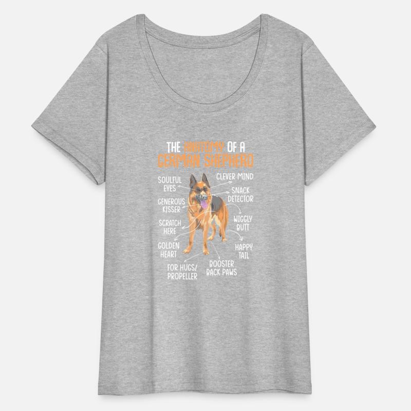 34 The Anatomy Of A German Shepherd