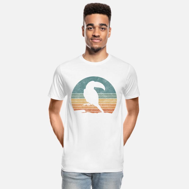 Bird Colorful Beak Toucans