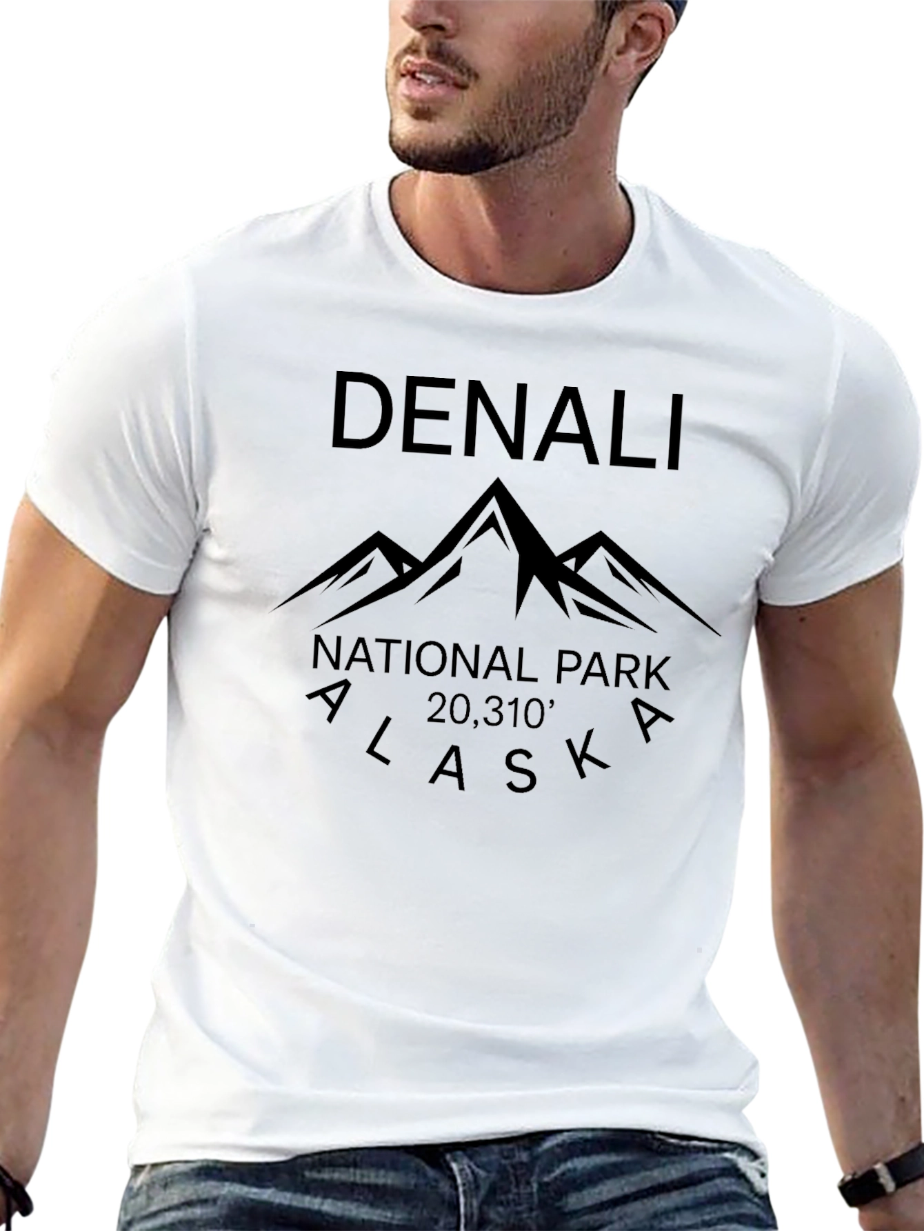 Denali National Park Tee - Alaska Mountain T-Shirt
