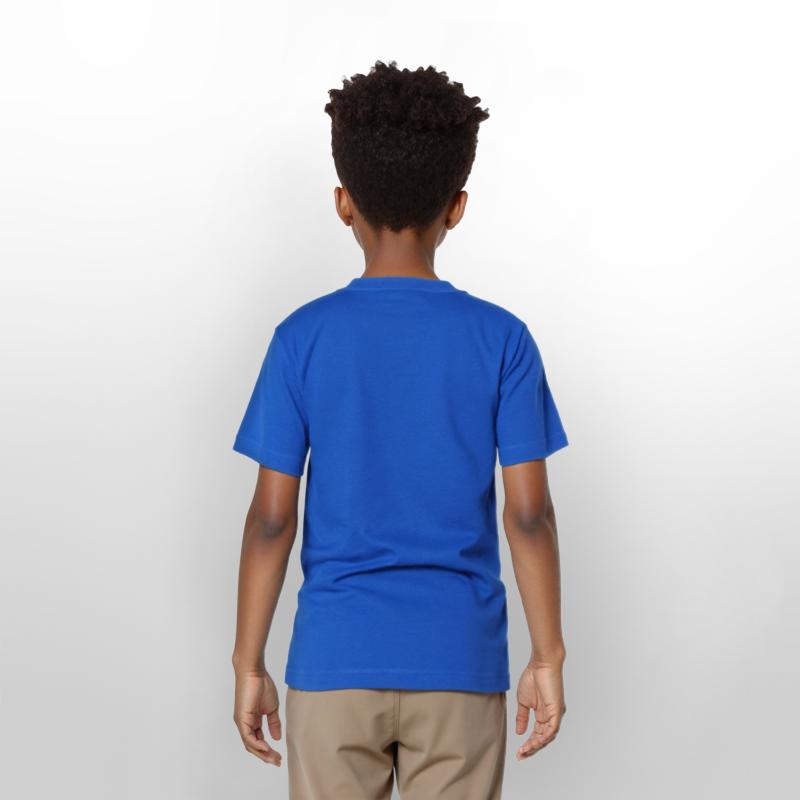 Festival Legends Music Stage Silhouette with