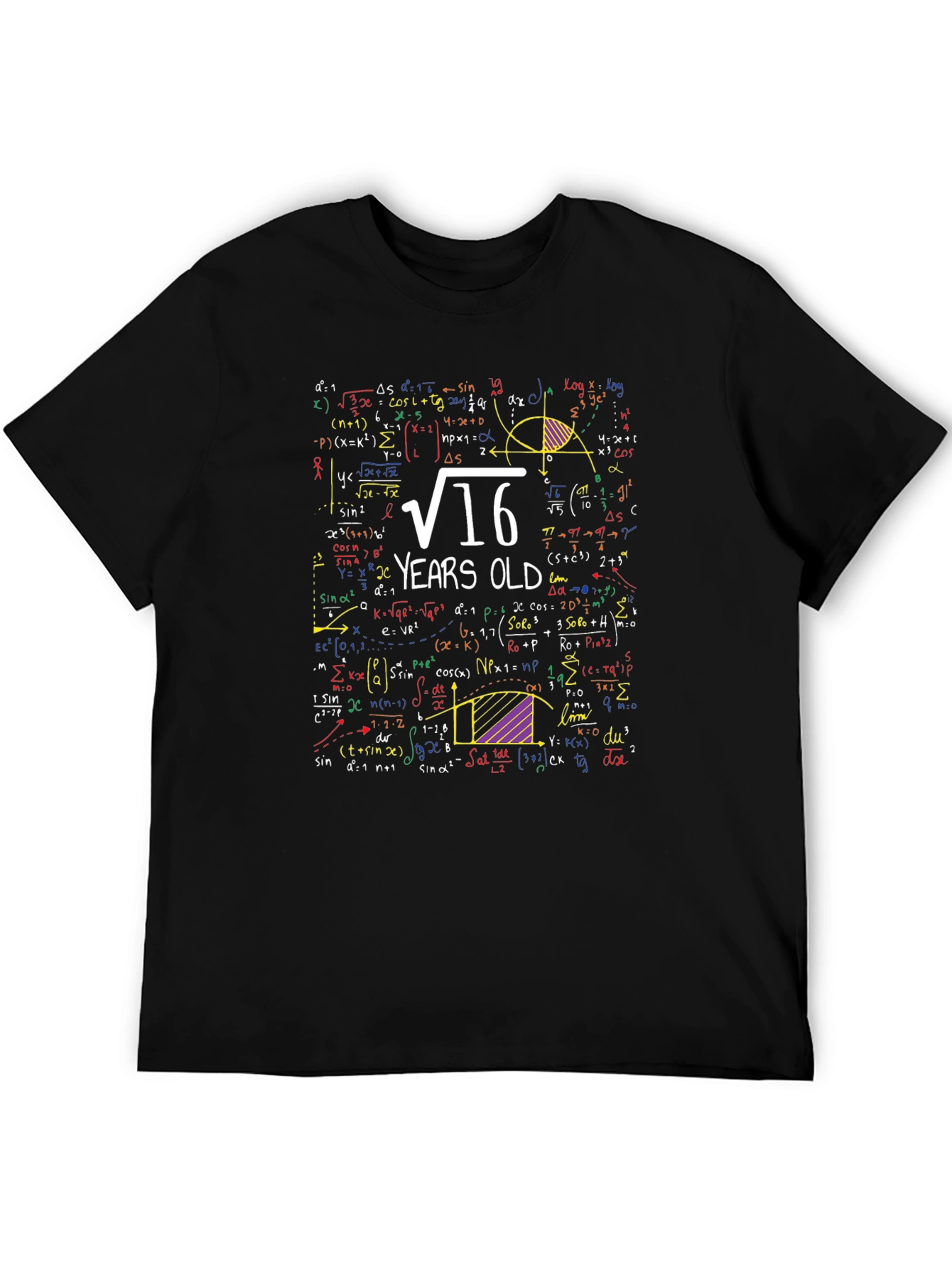 Math 16th Birthday T-Shirt - Funny Algebra Equation Tee