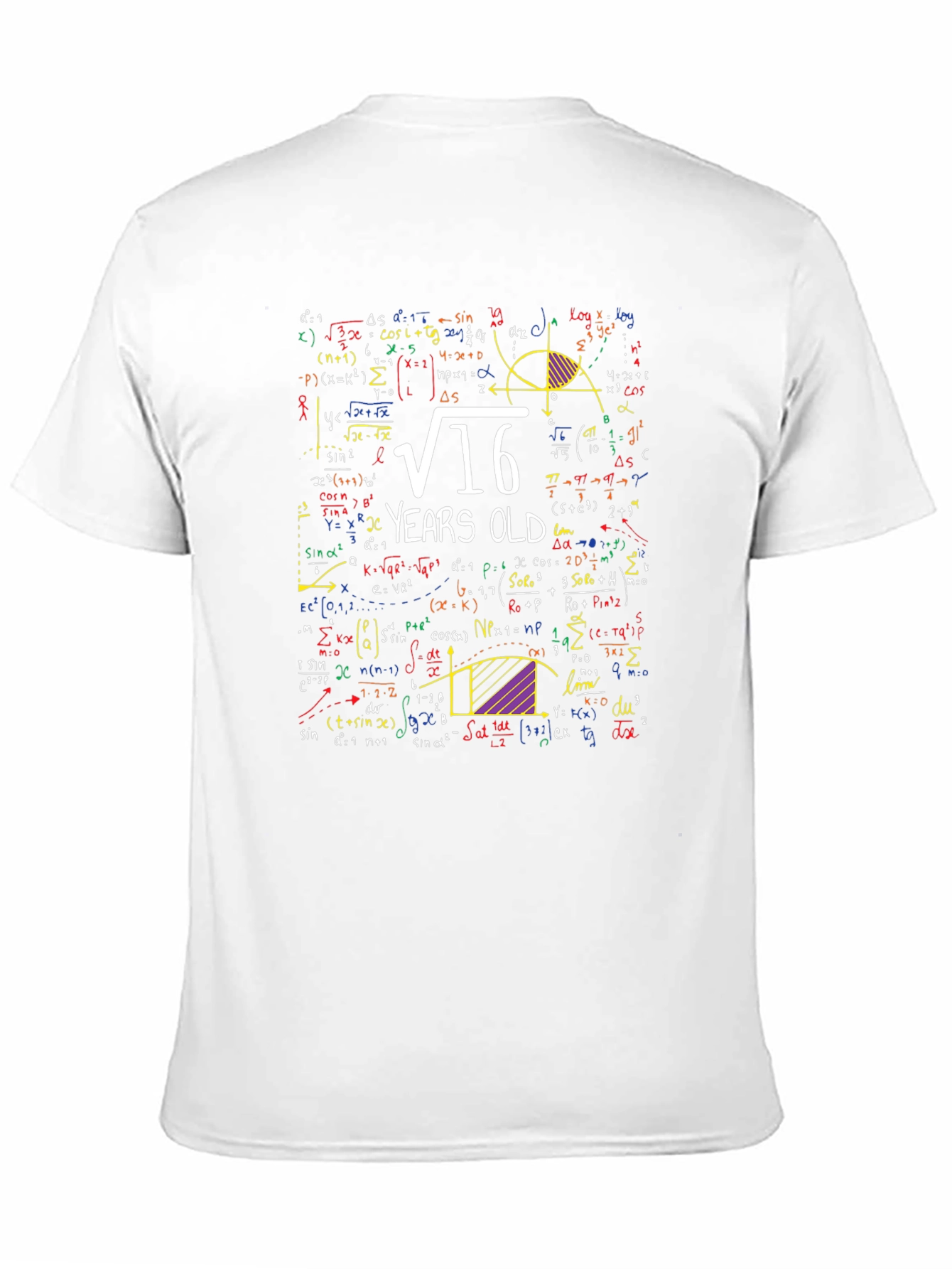 Math 16th Birthday T-Shirt - Funny Algebra Equation Tee