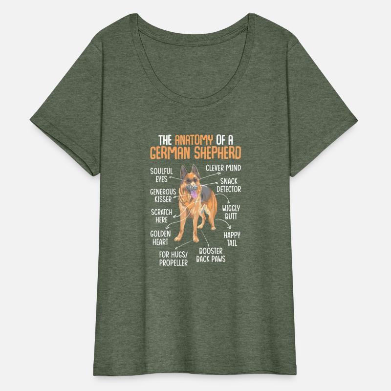 34 The Anatomy Of A German Shepherd