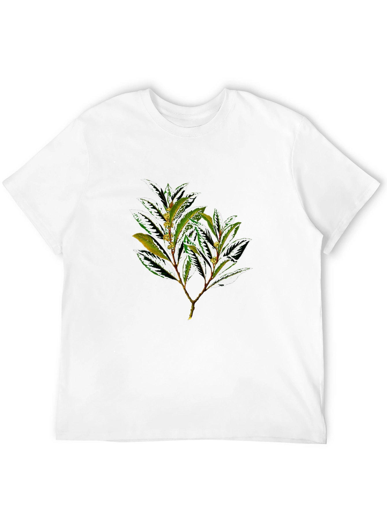 Botanical Print Black T-Shirt
