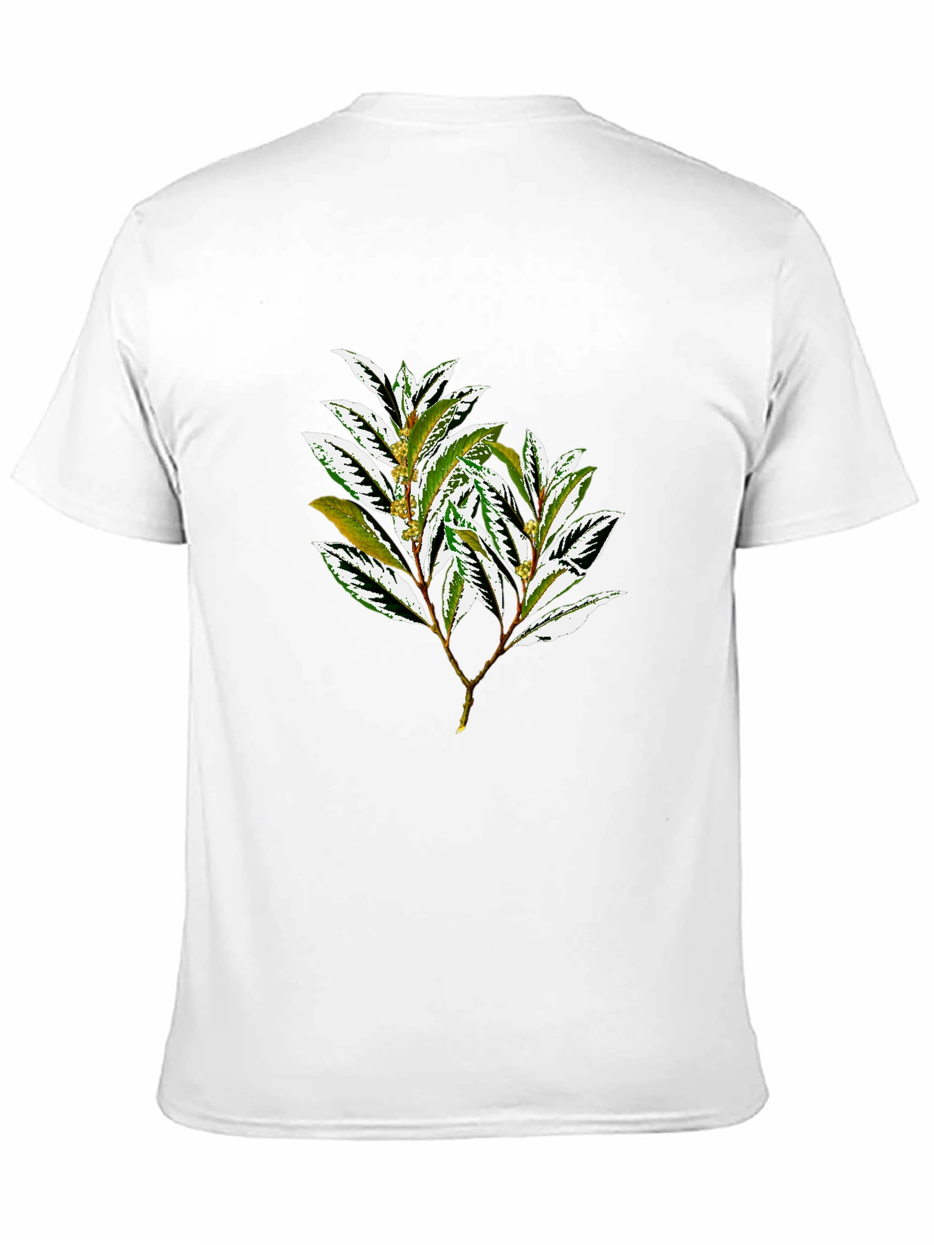 Botanical Print Black T-Shirt