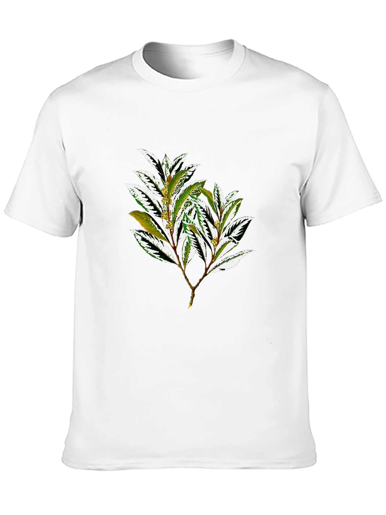 Botanical Print Black T-Shirt