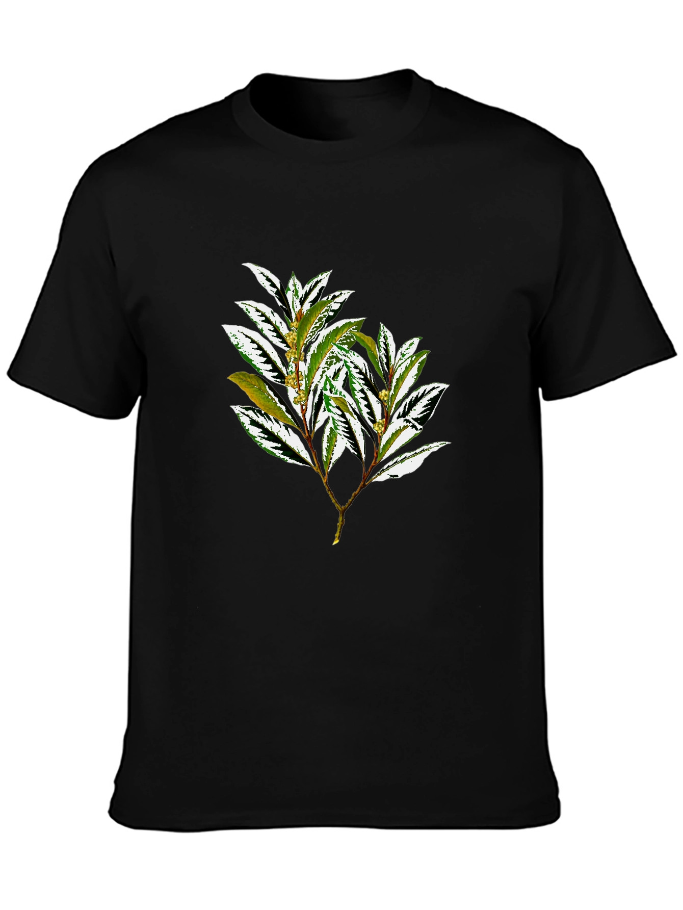 Botanical Print Black T-Shirt