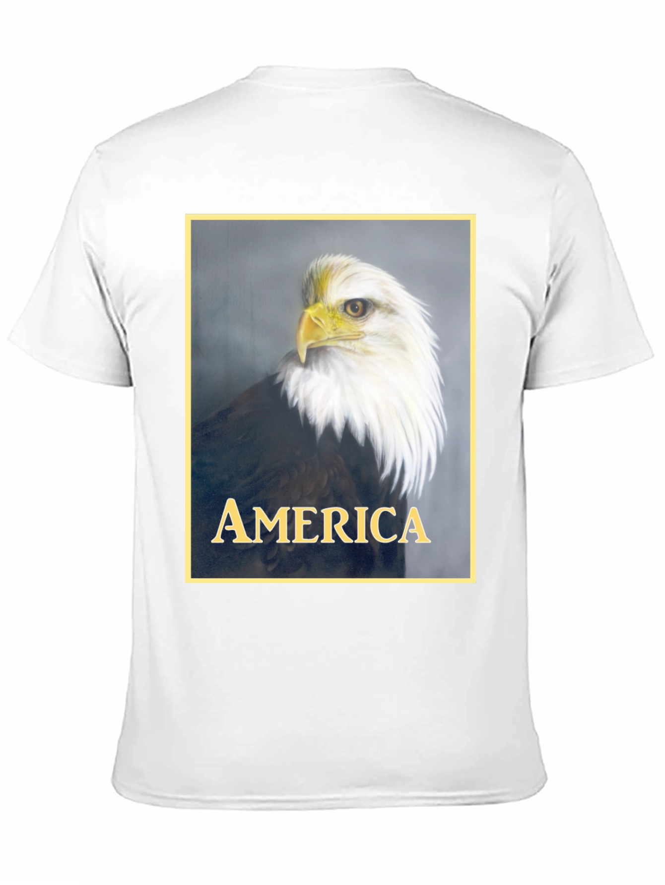 American Eagle Graphic T-Shirt