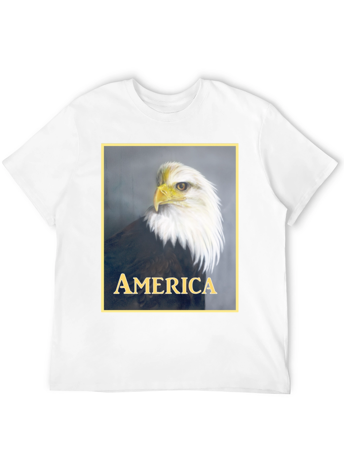 American Eagle Graphic T-Shirt