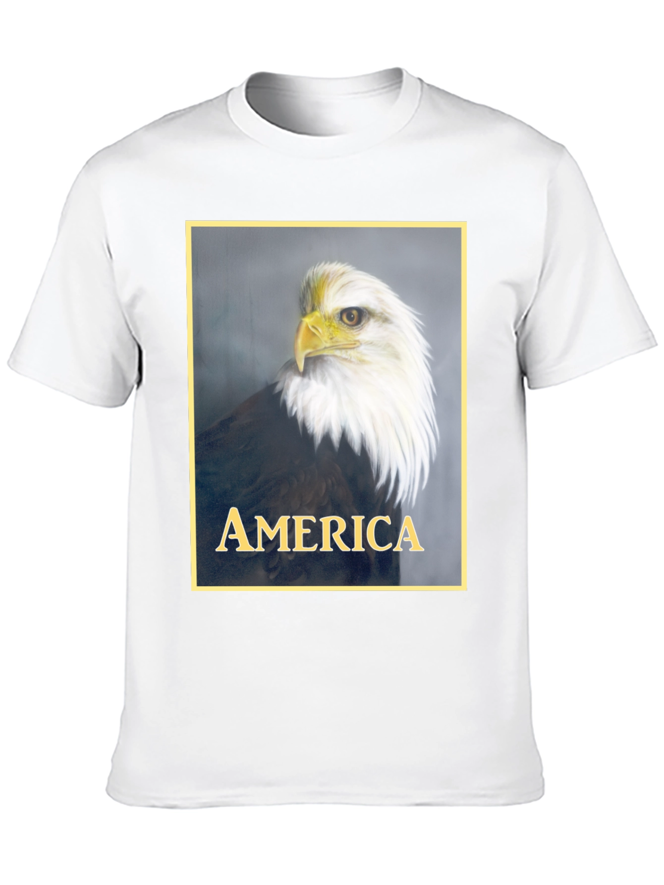 American Eagle Graphic T-Shirt