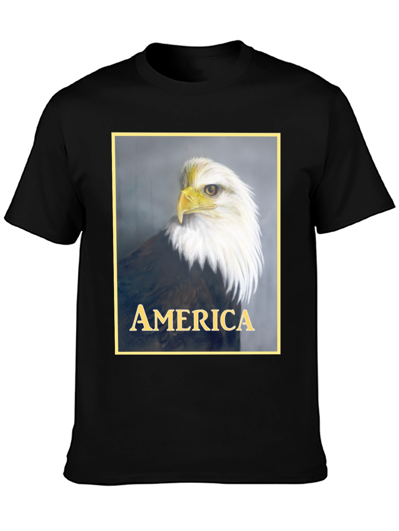 American Eagle Graphic T-Shirt