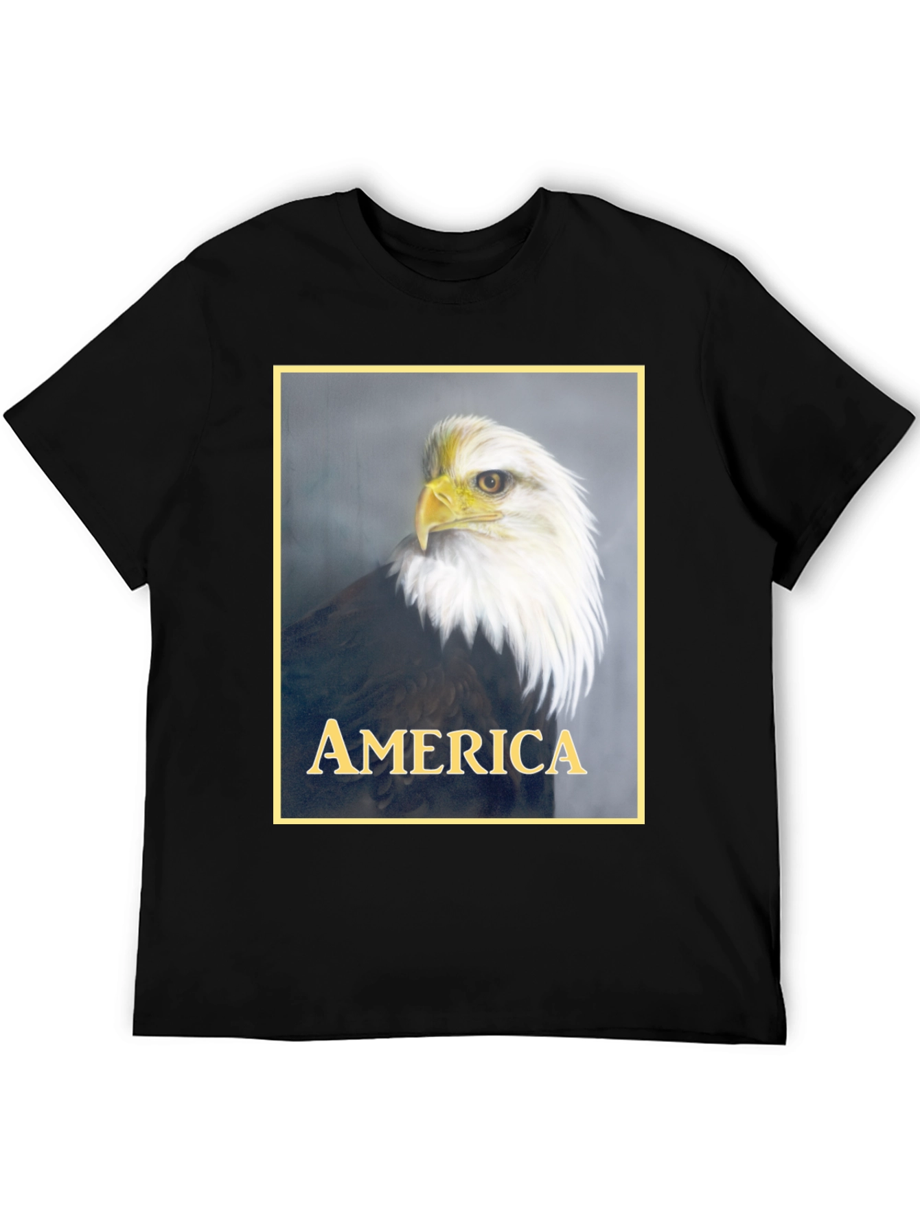 American Eagle Graphic T-Shirt