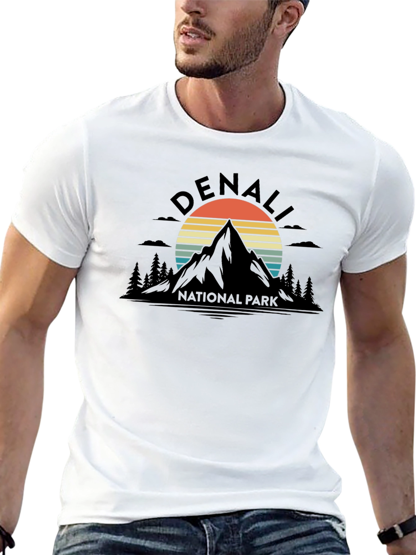 Denali National Park Graphic Tee - Retro Mountain T-Shirt