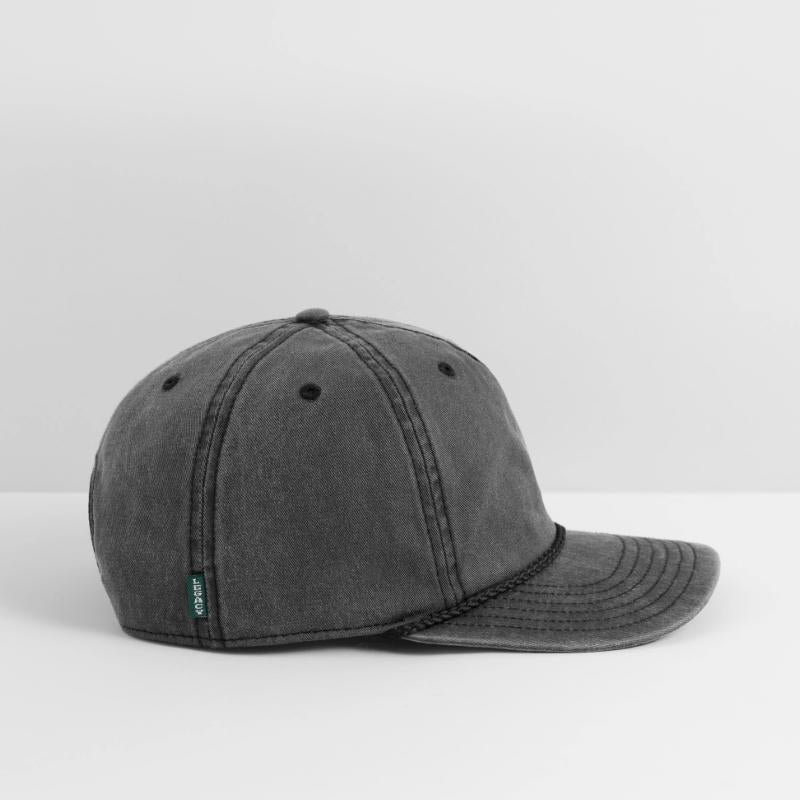 Aconcagua's Natural Symphony: Flora and Fauna