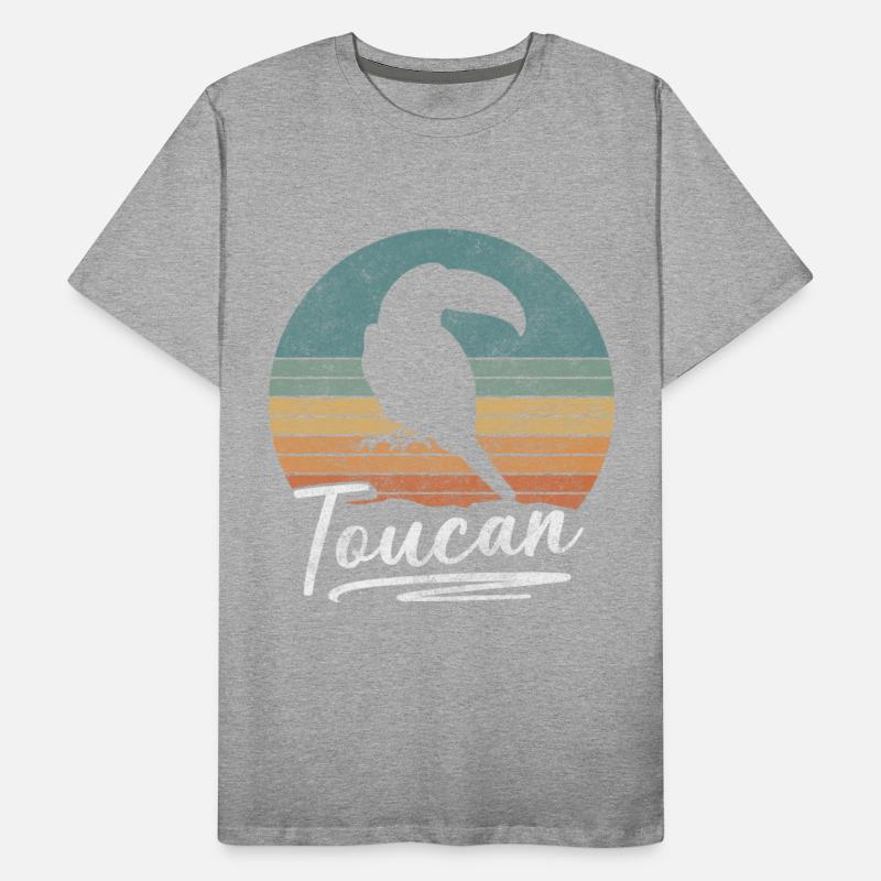 Bird Colorful Beak Toucans