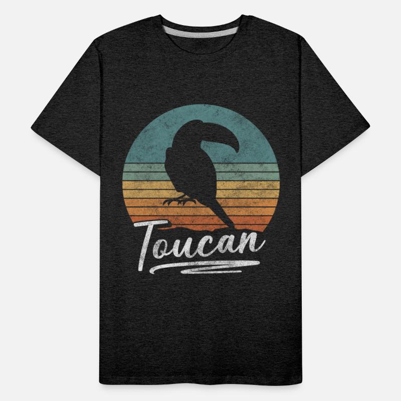 Bird Colorful Beak Toucans