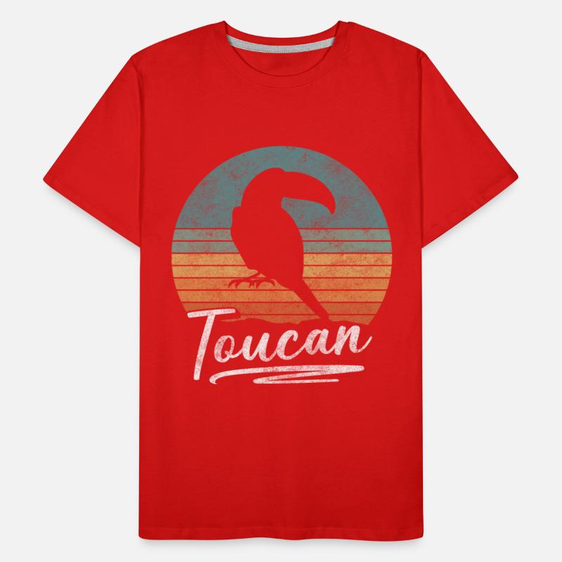 Bird Colorful Beak Toucans