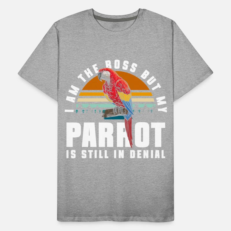 Bird Parrots Tropical