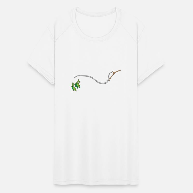 Flying Snake Gliding Snake Chrysopelea