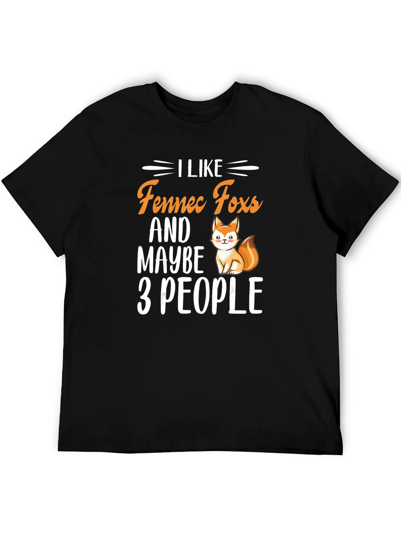 I Like Fennec Foxes & Maybe 3 People T-Shirt