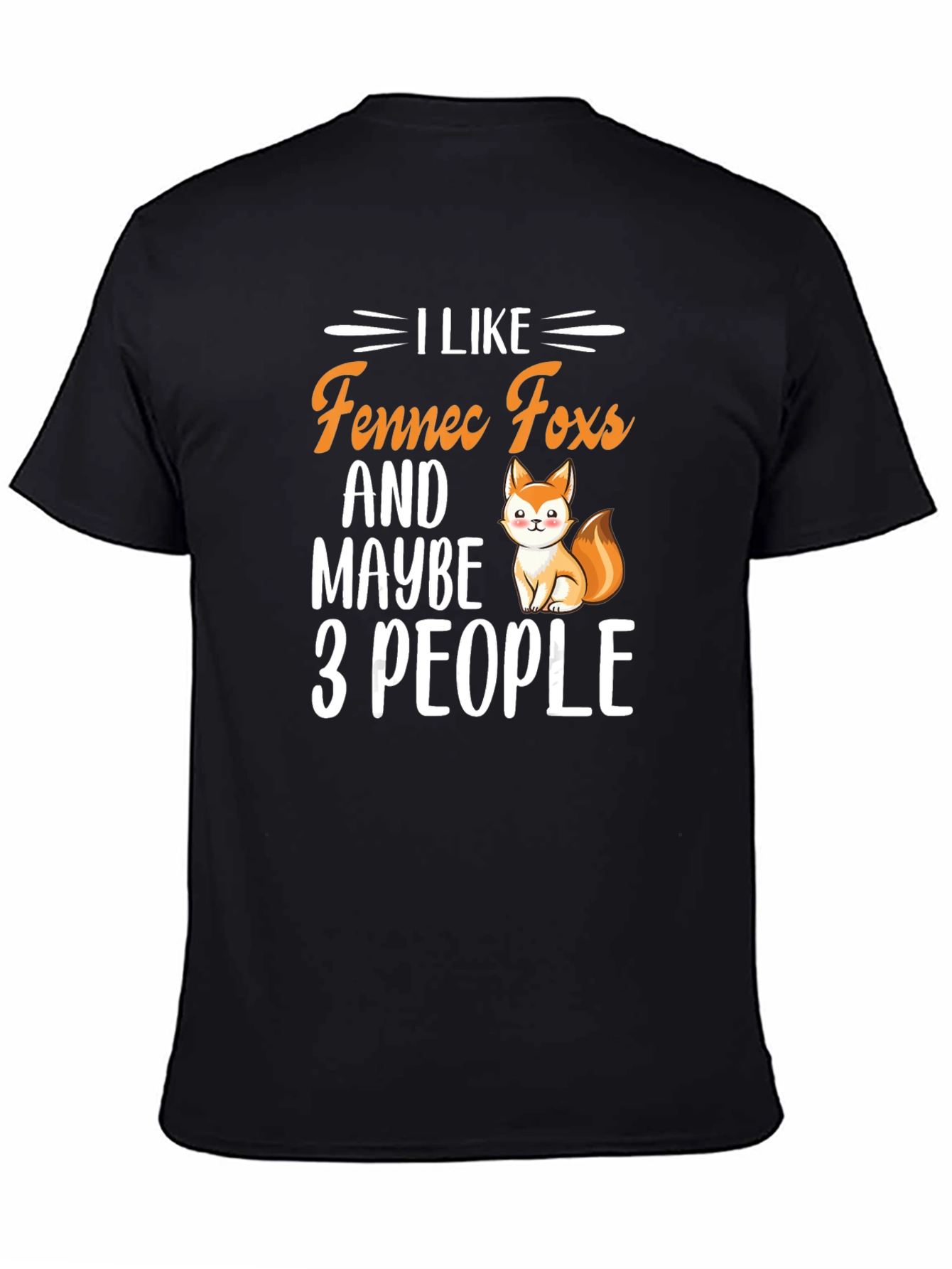 I Like Fennec Foxes & Maybe 3 People T-Shirt
