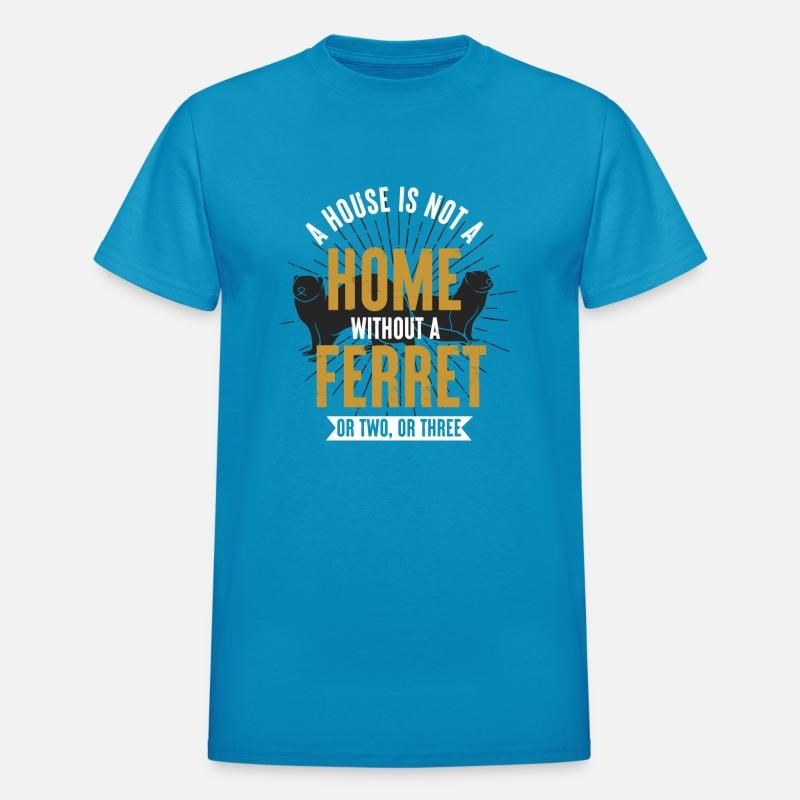 Home Ferret Animal