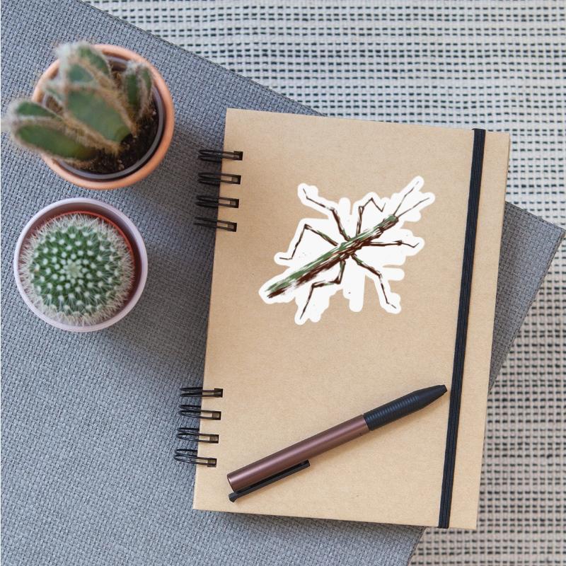 Nature Stick Insect Insect Brushstroke Art 3