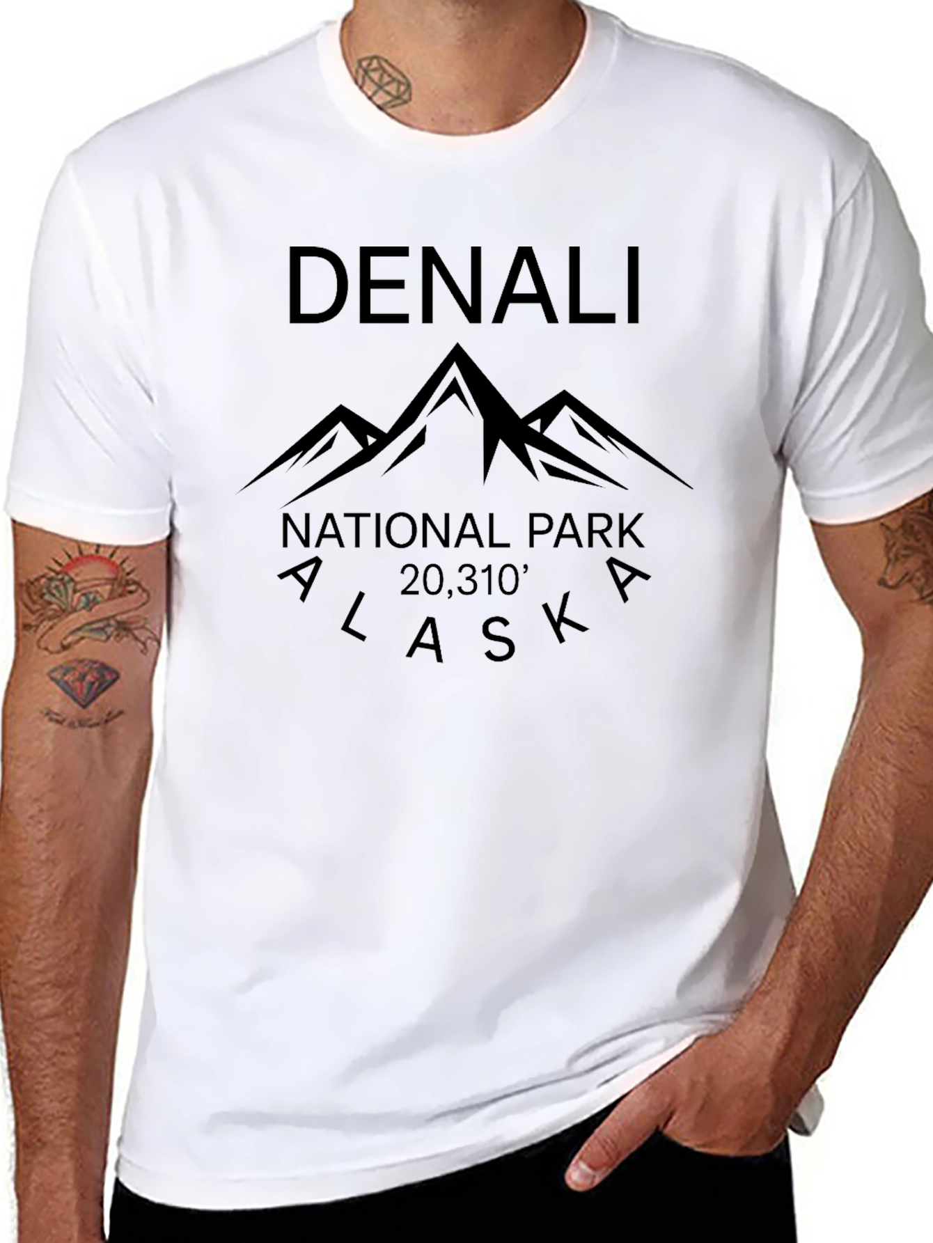 Denali National Park Tee - Alaska Mountain T-Shirt