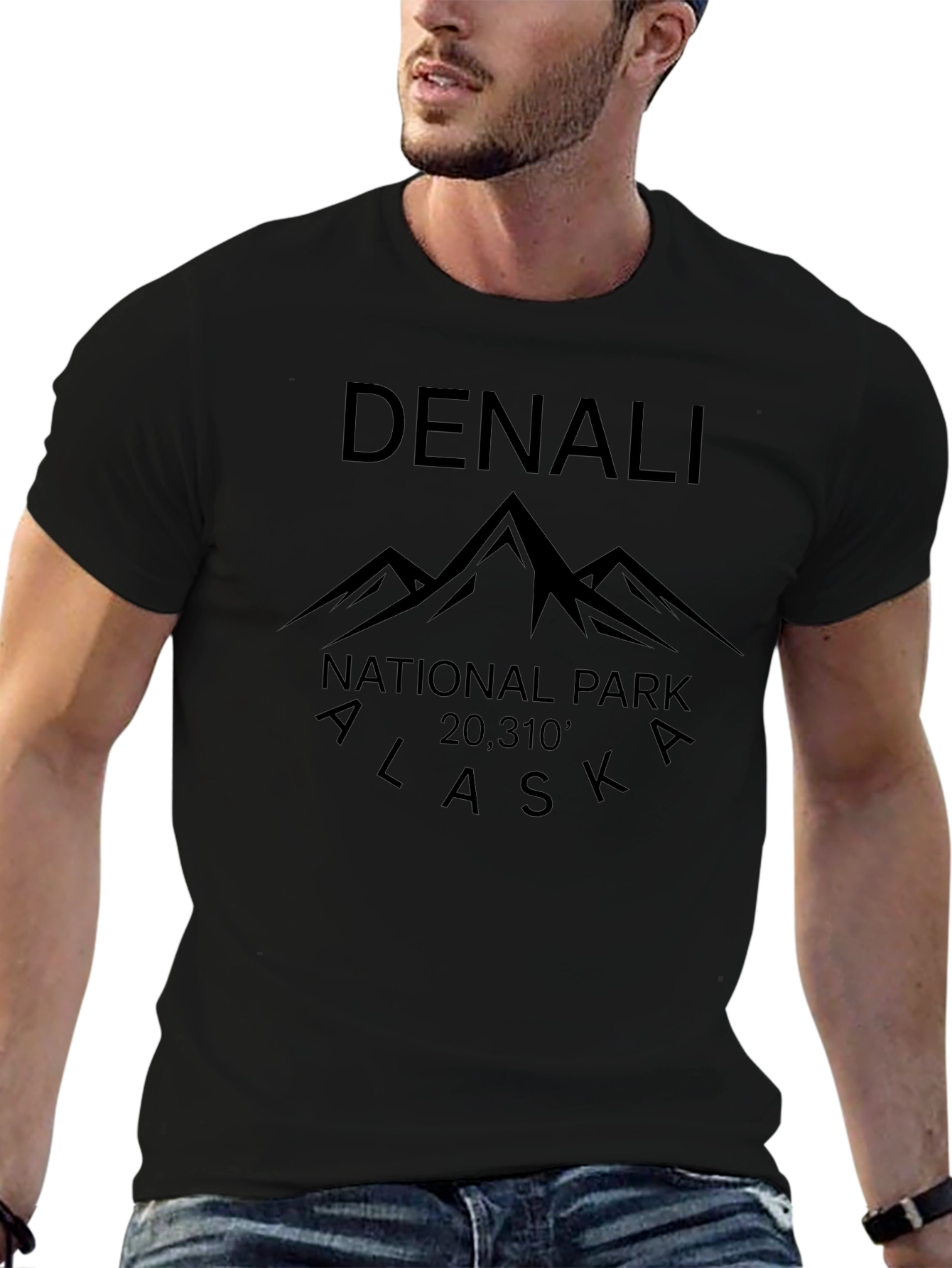 Denali National Park Tee - Alaska Mountain T-Shirt