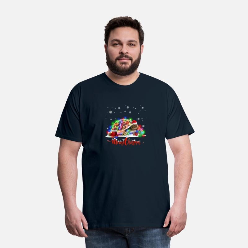 Russian Tortoise Animal Merry Animal