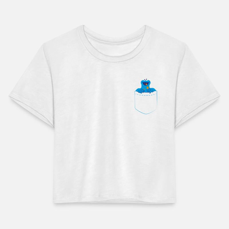 Sesame Street Cookie Monster Eats Cookie