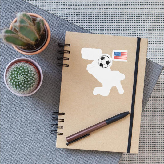 Soccer Equal Play Equal Pay American Flag