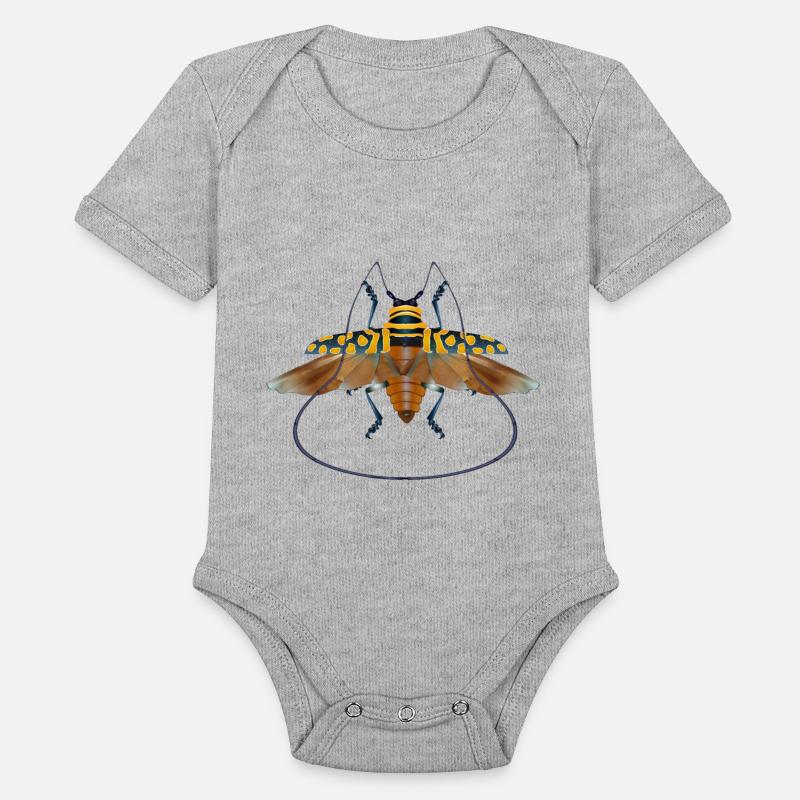 Sternotomis bohemani beetle species insect flying