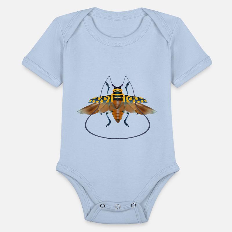 Sternotomis bohemani beetle species insect flying