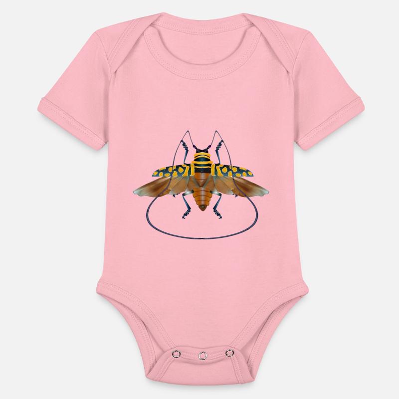 Sternotomis bohemani beetle species insect flying