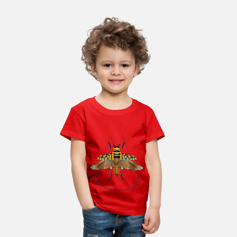 Sternotomis bohemani beetle species insect flying