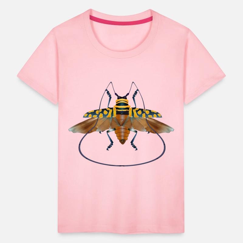 Sternotomis bohemani beetle species insect flying