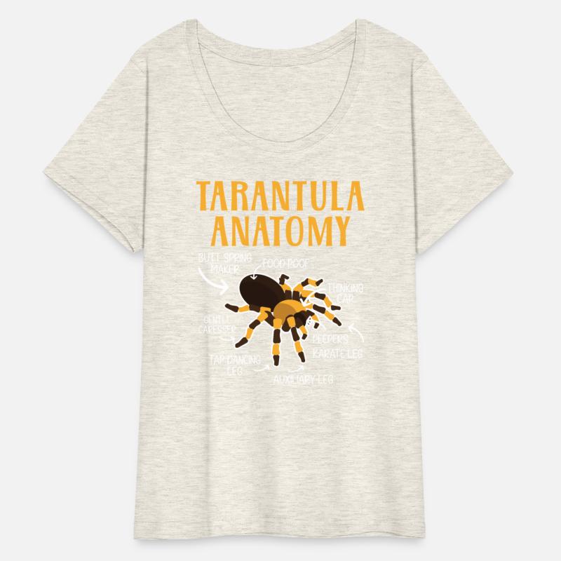 Tarantula Anatomy Arachnid Insect Spider Whisperer