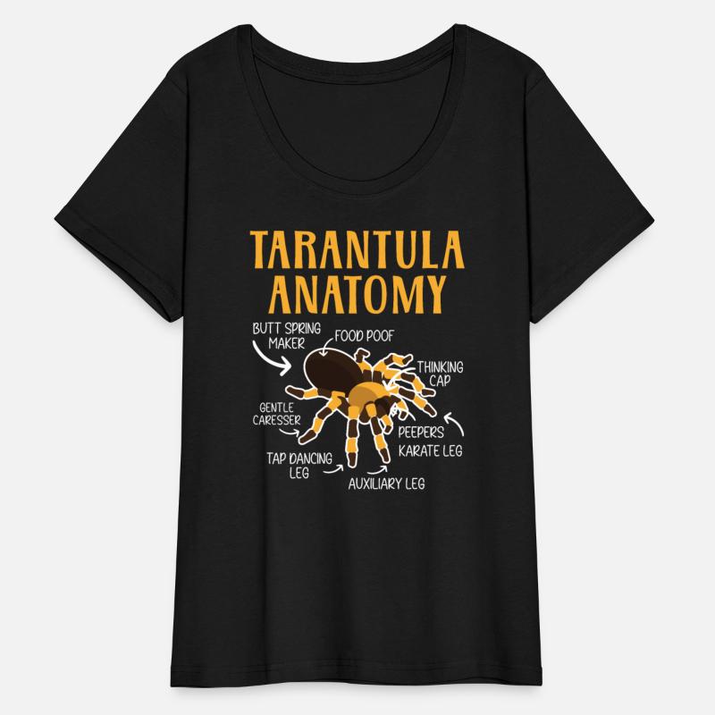 Tarantula Anatomy Arachnid Insect Spider Whisperer