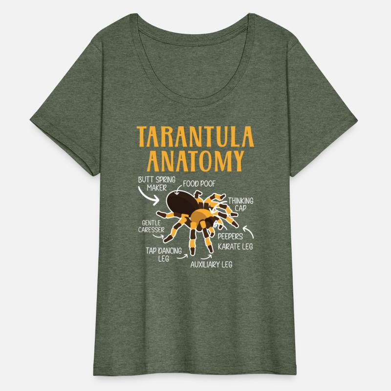 Tarantula Anatomy Arachnid Insect Spider Whisperer