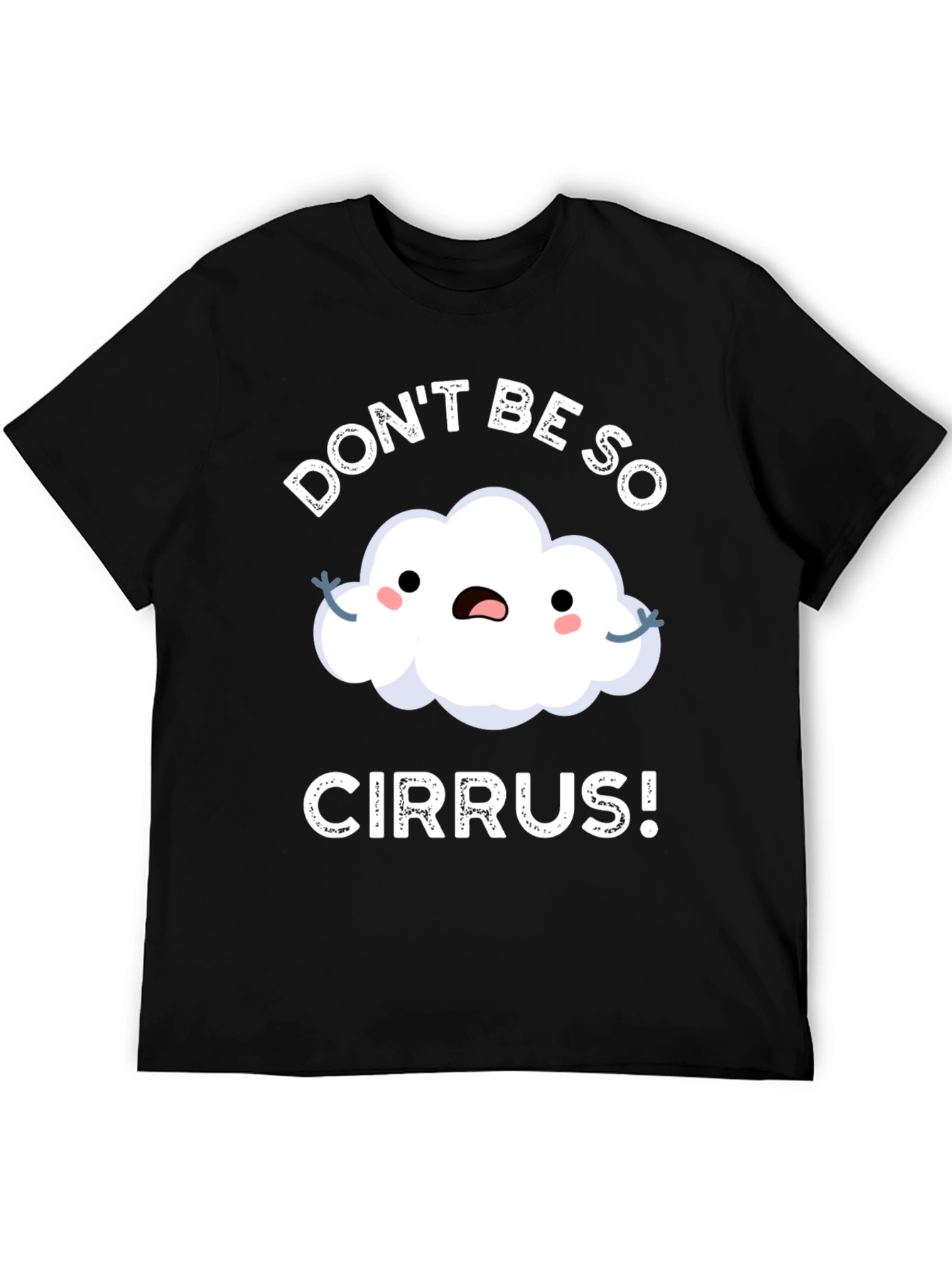 Dont Be So Cirrus! Pun T-Shirt