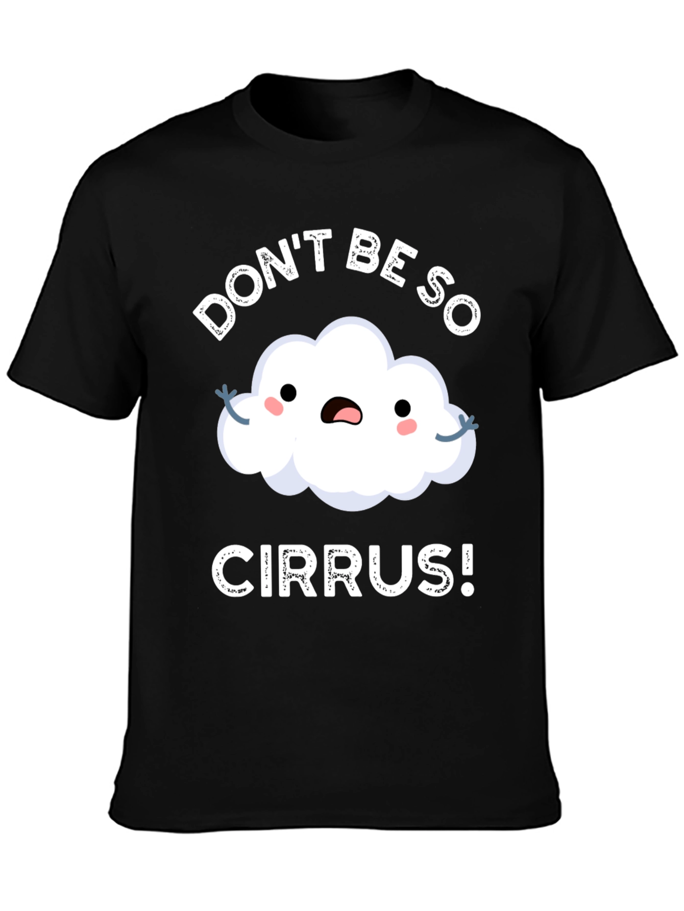 Dont Be So Cirrus! Pun T-Shirt