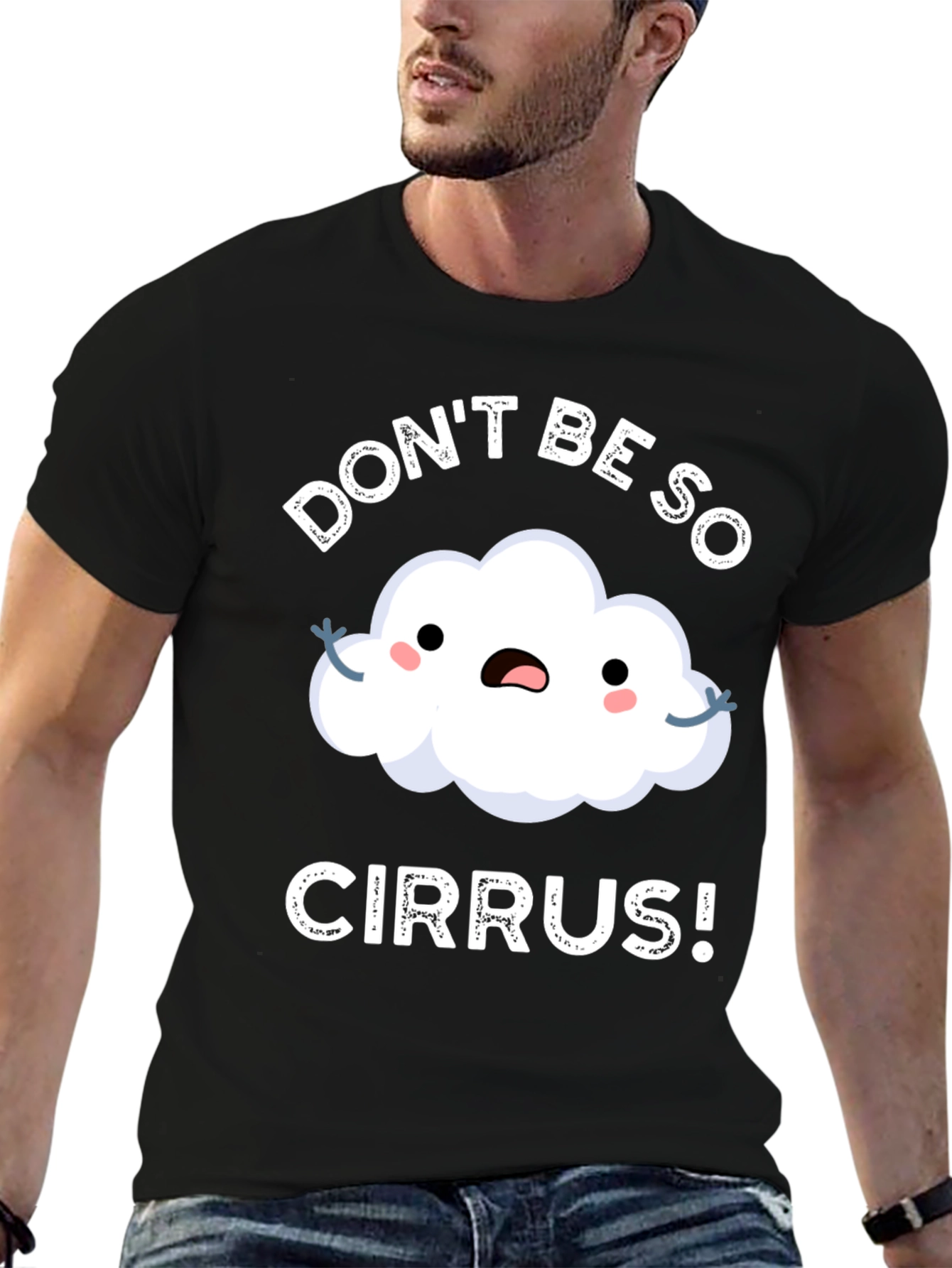 Dont Be So Cirrus! Pun T-Shirt