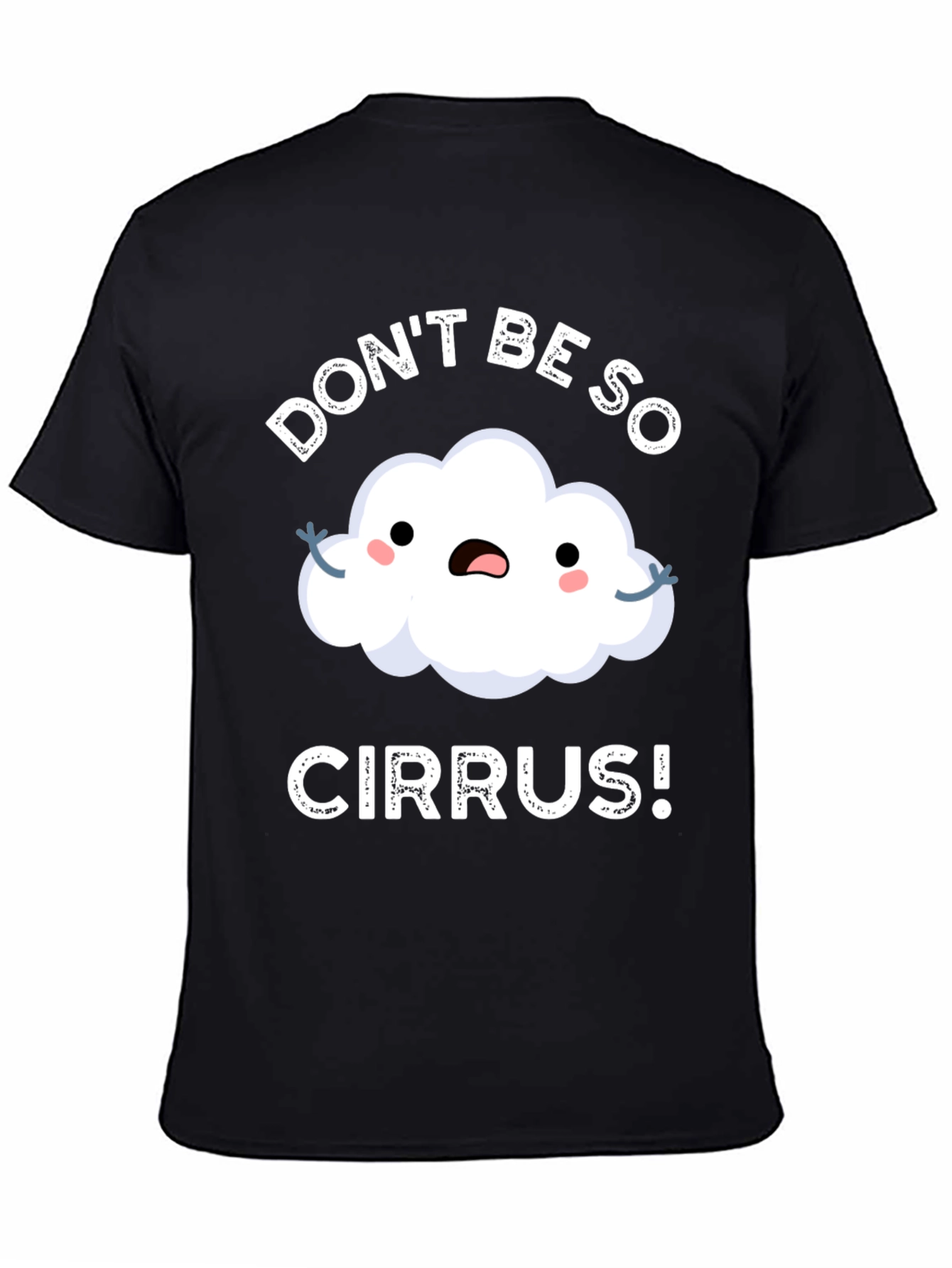 Dont Be So Cirrus! Pun T-Shirt