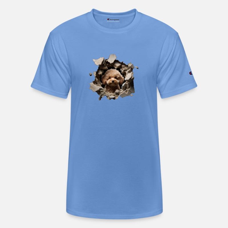 Toy Poodle Peeking Through a Hole