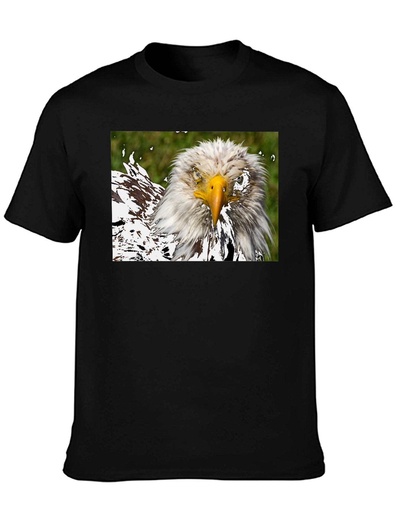 Bald Eagle Graphic Black T-Shirt