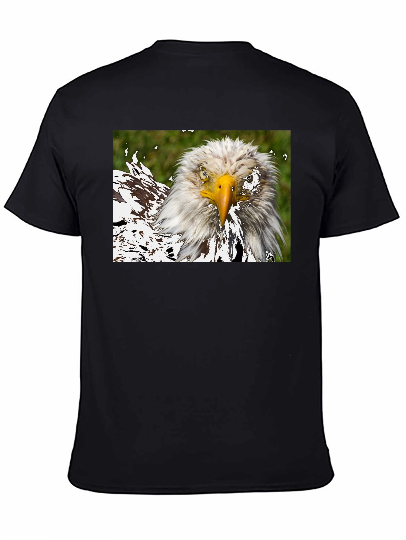 Bald Eagle Graphic Black T-Shirt