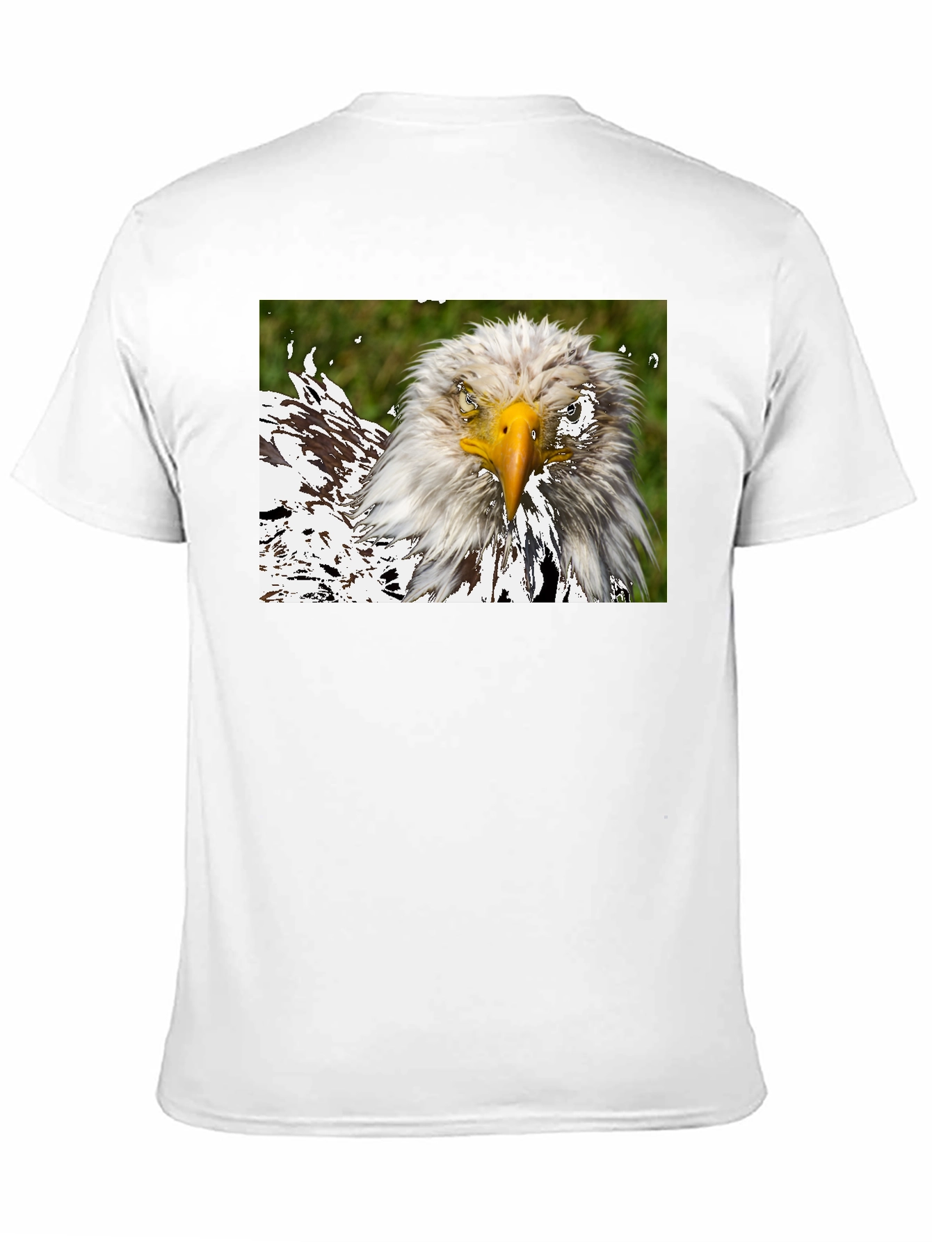 Bald Eagle Graphic Black T-Shirt