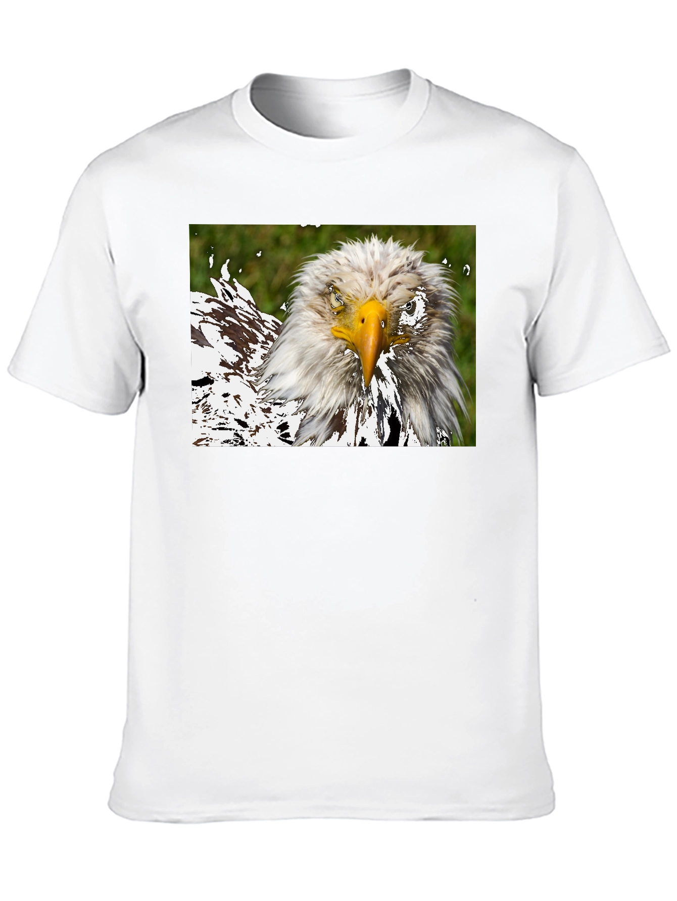 Bald Eagle Graphic Black T-Shirt