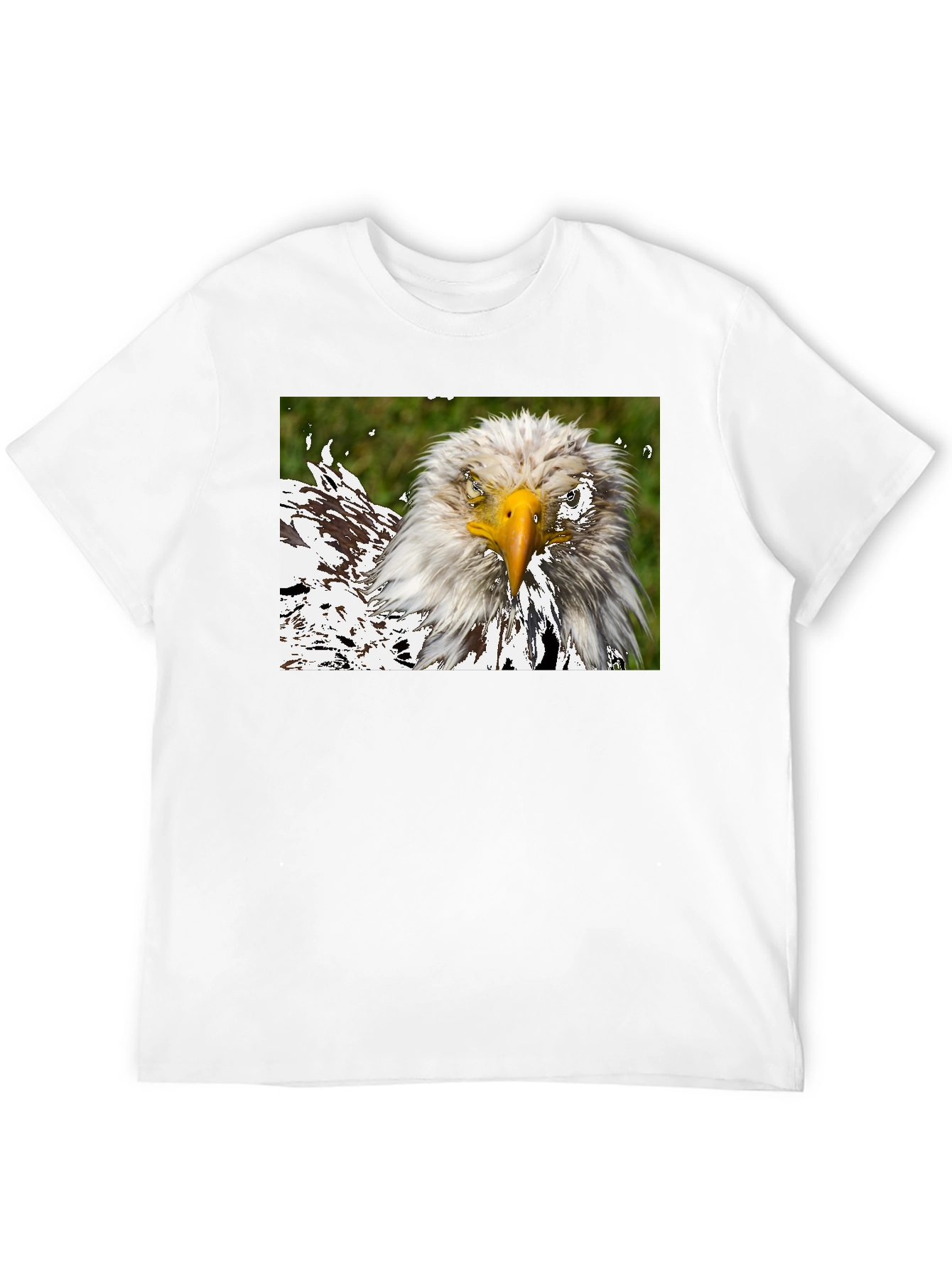 Bald Eagle Graphic Black T-Shirt